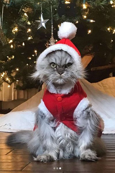 Happy Holidays! The Rio Theatre is closed today.