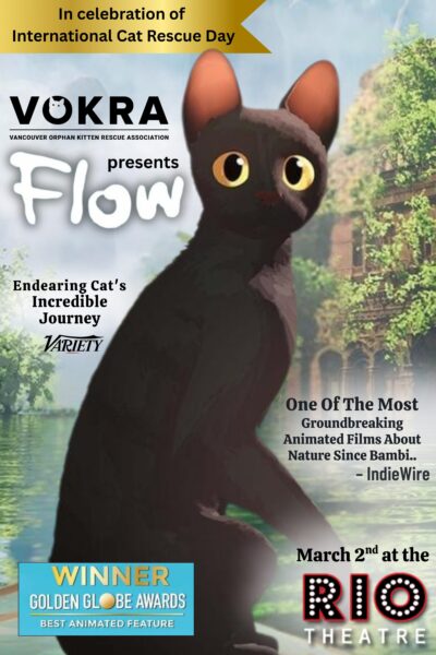 Flow (VOKRA Fundraiser)